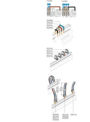 Immagine per BARRA 100A 4P 24 MODULI L=600 da Sacchi elettroforniture