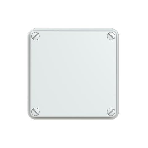 Immagine per IP55-SMOOTH-LOW LID-100X100X50-1/4 TS da Sacchi elettroforniture