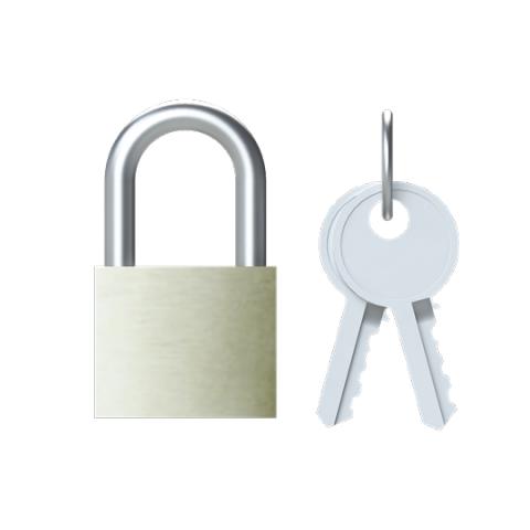 Immagine per SA 2 Padlock with 2 keys da Sacchi elettroforniture