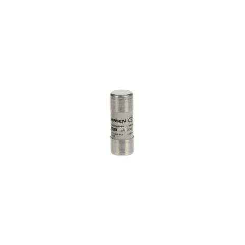 Immagine per E 9F22 GG80 Fuse link da Sacchi elettroforniture