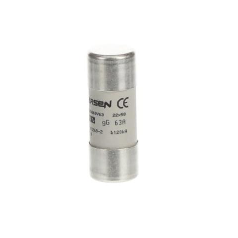 Immagine per E 9F22 GG63 Fuse link da Sacchi elettroforniture