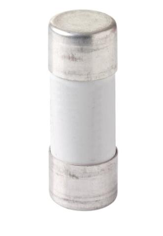 Immagine per E 9F22 GG125 Fuse link da Sacchi elettroforniture