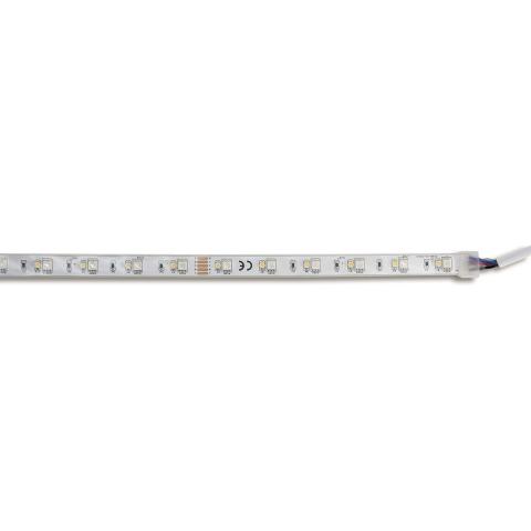 Immagine per STRIP LED RGB-W IP65 da Sacchi elettroforniture