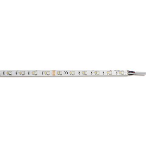 Immagine per STRIP LED RGB-W IP20 da Sacchi elettroforniture