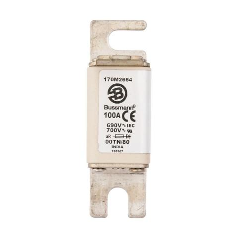 Immagine per 170M2664 FUSE 100A 690V 00TN/80 AR UR da Sacchi elettroforniture