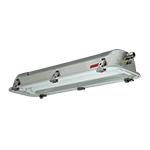 Immagine per RINO-EX PLAFO INOX-VT 2X36W ELE 2D2GEEE da Sacchi elettroforniture