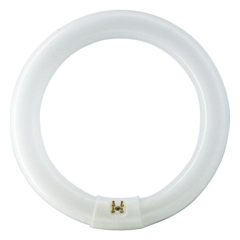 Immagine per MASTER TL-E Circular Super 80 -  Fluorescent lamp -  Consumo energetico: 32.8 W -  Classe di efficienza energetica: G da Sacchi elettroforniture