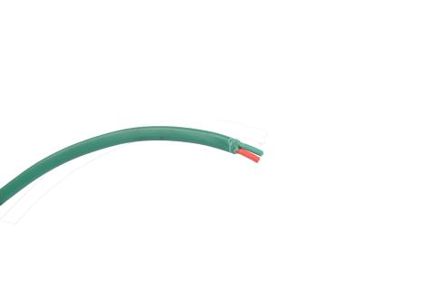 Immagine per CAVO COMP PVC FR2DR 2X1,3 NI-NICR VERDE da Sacchi elettroforniture