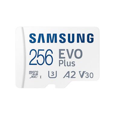 Immagine per MICRO SD 256GB XC CLASSE U3 V30 A2 da Sacchi elettroforniture